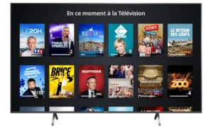Utilisateur naviguant l’application Molotov sur smartphone