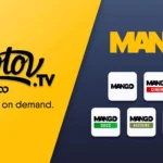 écran d'accueil de Molotov sur Smart TV